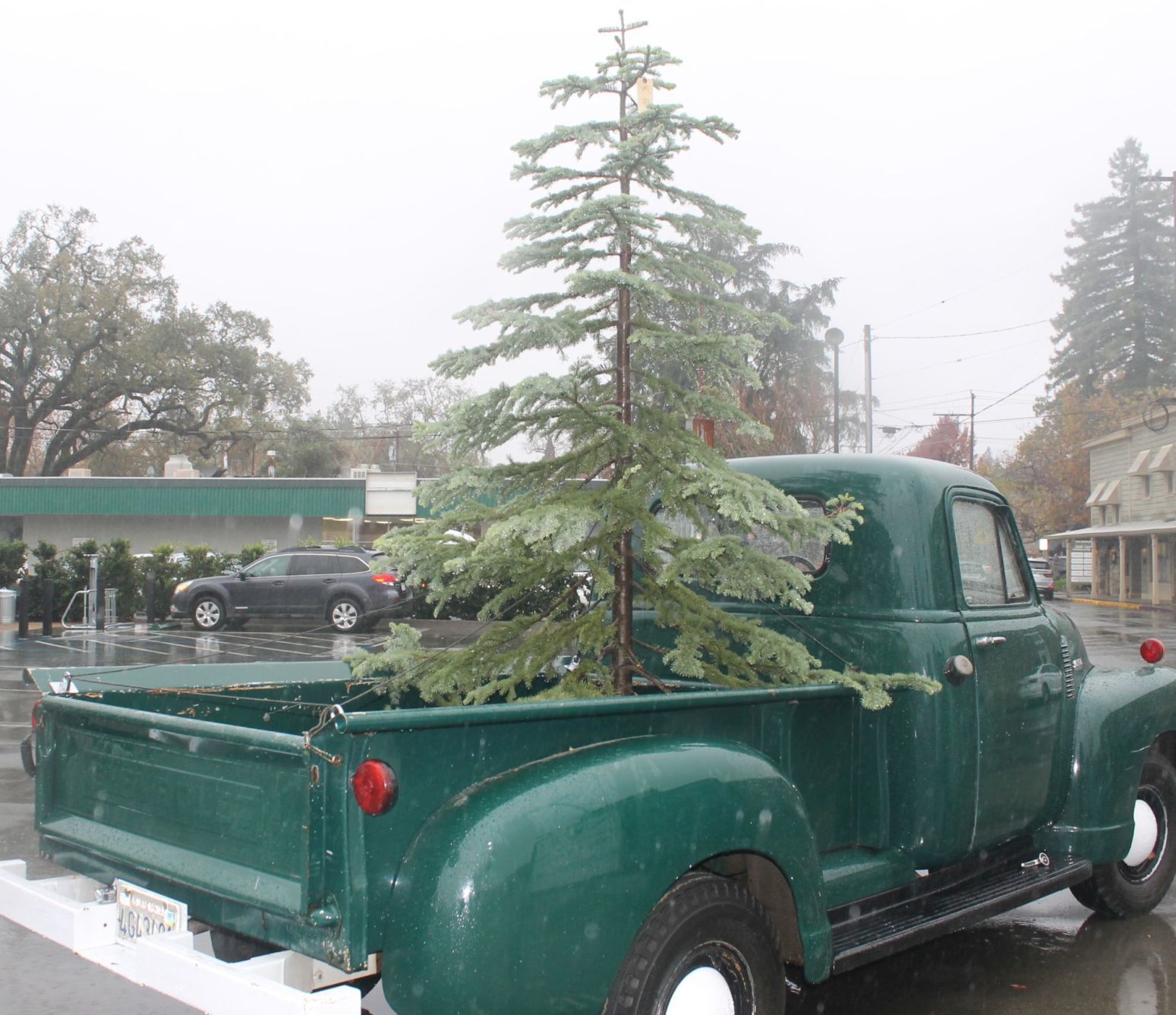 St. Helena Winter Market